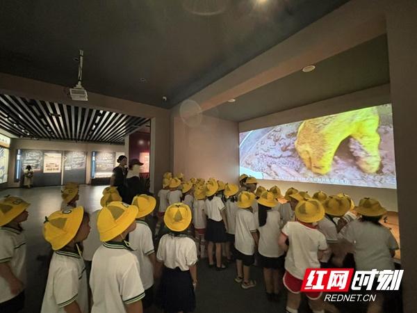 超28万人次打卡！“湘见万年”助力岳阳市博物馆成文旅新热点