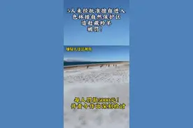 5人擅闯保护区开越野车追赶藏羚羊，警方通报：已抓获图片