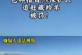 5人擅闯保护区开越野车追赶藏羚羊，警方通报：已抓获图片