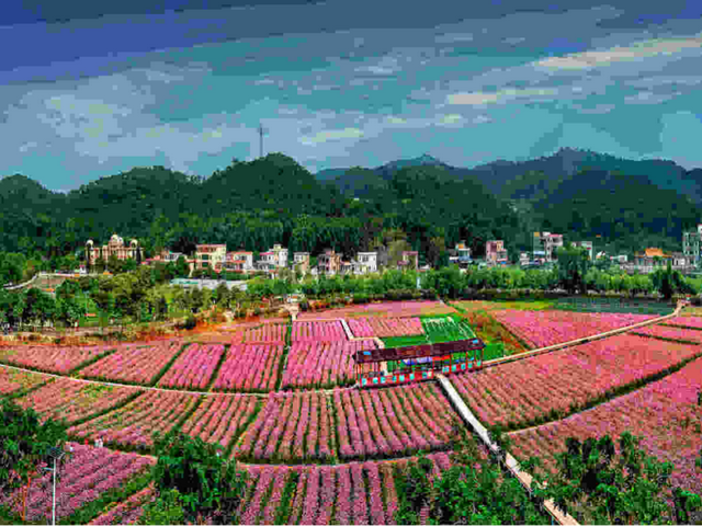 央视大片《珠江》里的花都④：花都的美，每一秒都封神~