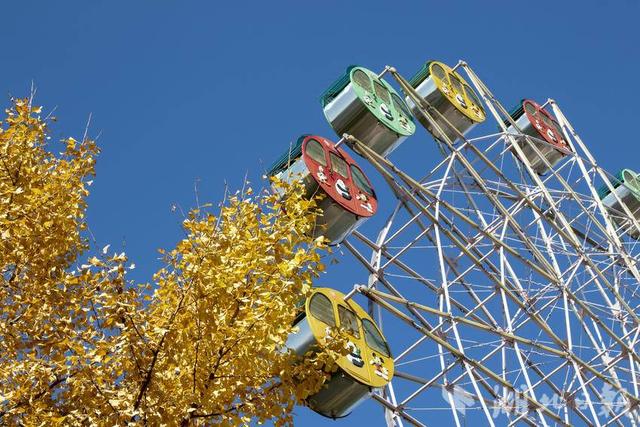 恩施市：城市初冬景色美