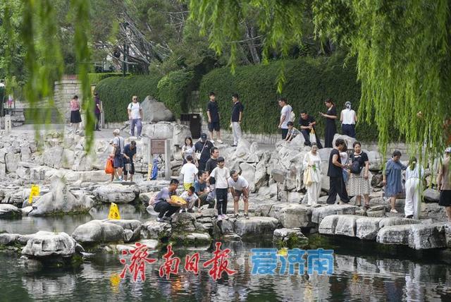 一年四季 泉在济南丨又到秋雨连绵，济南何处最美？护城河畔泉水清冽醉游人