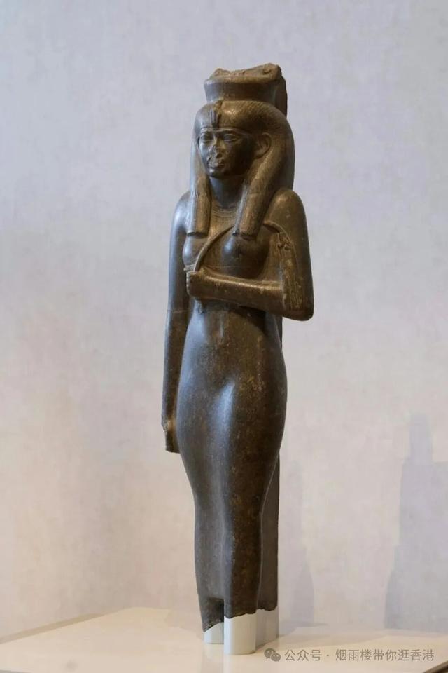 香港年度最重磅的文化盛事开放参观！