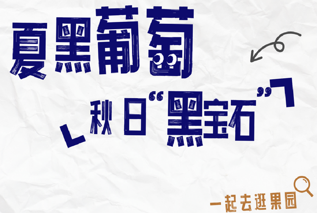 修武初秋采摘 | 葡萄甜、蟠桃香，抓住夏天的尾巴！
