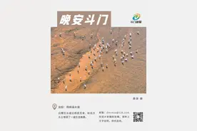 禁入！包括摩托车、电动车、自行车…丨晚安斗门图片