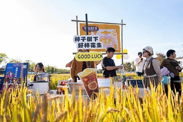 国家级推荐！青浦这条路线上榜！