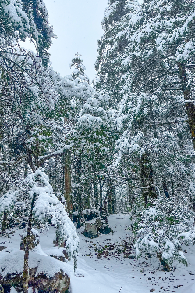 秋日雪景 | 雪后的螺髻山到底有多美？快来看！