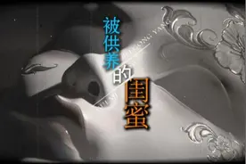 一人分饰多角 一次恋爱牵扯出诈骗案中案图片