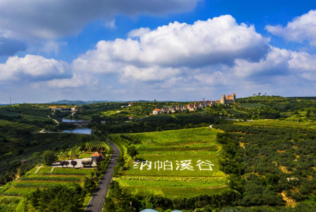 别卷了，这个初秋，带上朋友一起躺“营”！