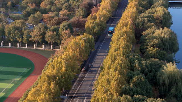 别眨眼！罗店马路秋色，一街一帧画正在限时上映