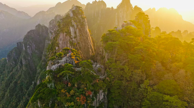 出片率100%！黄山风景区进入最佳赏秋期