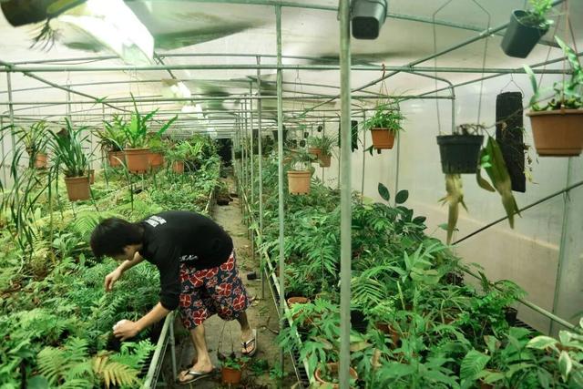 他初中毕业后终身不婚，荒野舍命工作20年，被一群博士封神