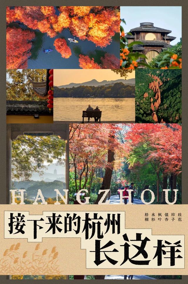 真真真真的要入秋了！接下来的杭州长这样