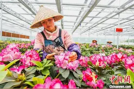贵州毕节小山村玩出新“花”样图片