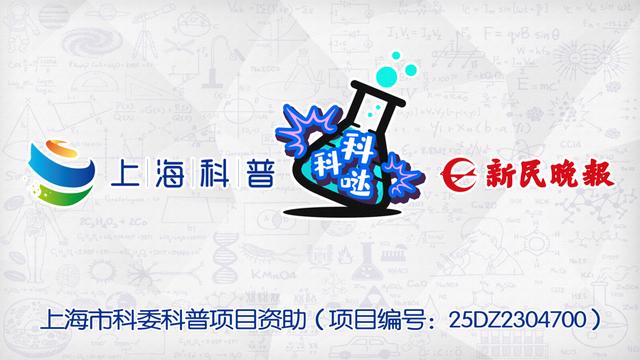 超长基线、超高空间分辨率！申城科研团队构建国际首个月球轨道VLBI系统