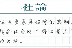 野生景点：危险的打卡不应被纵容图片