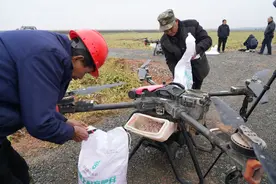 每小时喷洒80亩！无人机撒药抗灾稳产量图片