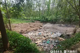 庆云一居民反映河堤旁被倾倒污染物 镇街：三天内清理完毕图片