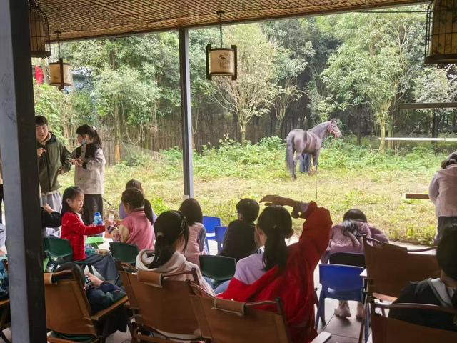 四川首个秋假带热景区：省内门票预订量较去年同比增长3.4倍，酒店“一房难求”