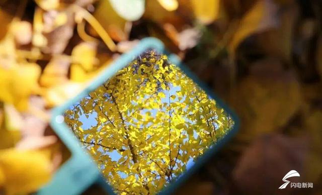 日照东港后村镇初冬限定！藏着最温柔的岁月痕迹