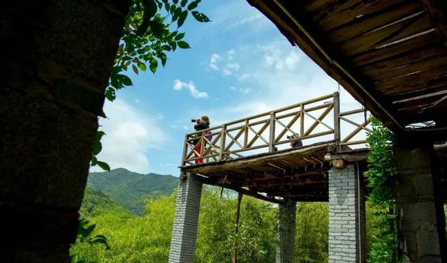 现在就出发！沿着洛阳周边自驾你将能看到...