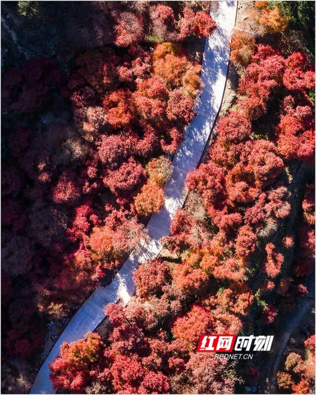 潘华摄影作品：漫步永州蓝山谷 邂逅湘江源头的层林尽染