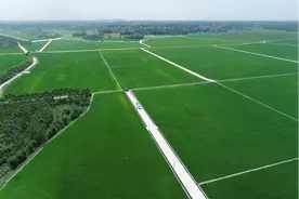 湛江： “小田并大田”  耕地不再“碎片化”图片