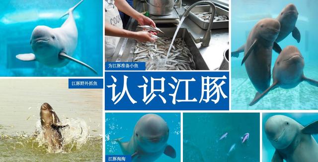 何以中国｜逐浪长江奔腾万里，读懂华夏璀璨文明