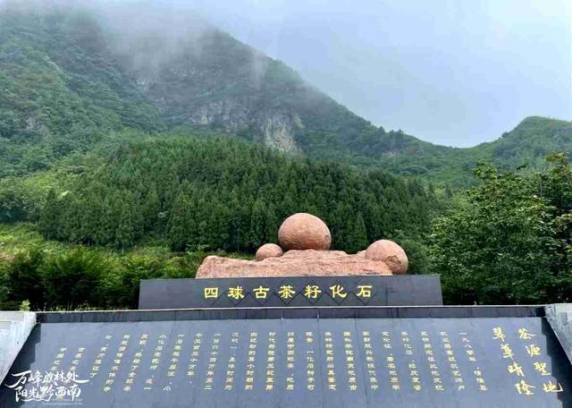 有一种生活叫黔西南｜这里是黔西南晴隆，这份旅游攻略请收好