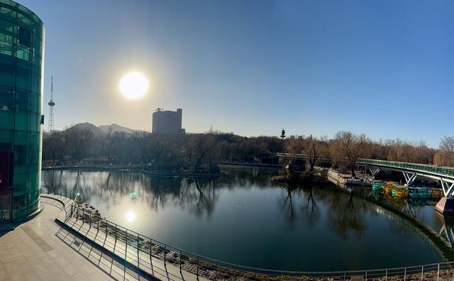 新视界｜泉城公园：冬日落木亦风景