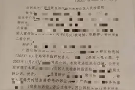 “天降树桩致人身亡案”宣判：被告人被判过失致人死亡罪，获刑6年图片