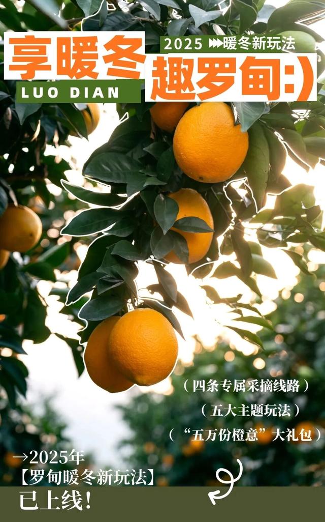 “享暖冬 趣罗甸”2025年黔南州罗甸县暖冬新玩法推介活动在贵阳举行