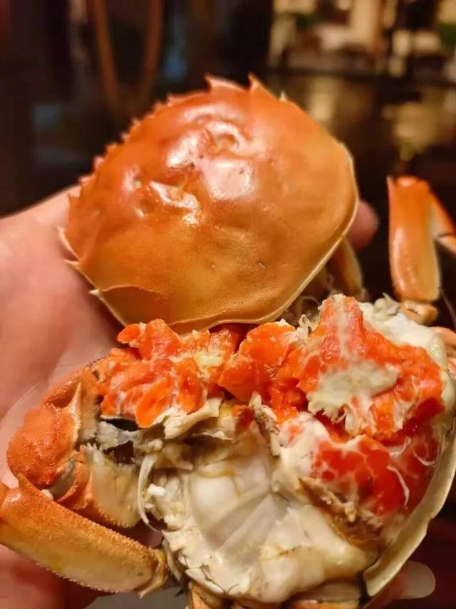 红河人严选！秋天应该这么玩