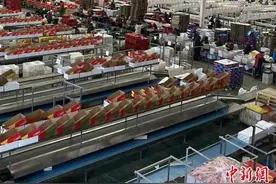 （新春走基层）黄土高原上的“苹果之乡”：洛川苹果迎来销售旺季图片