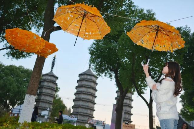 美翻了！南湖，正是红橙黄绿时