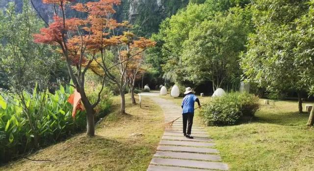 爆火！天河潭暑期游客接待量同比增长超50%，火爆人气背后那些暖心故事……