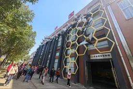 出口量连续14年居全国第一！江山小小蜂王浆卖到六大洲30多国图片