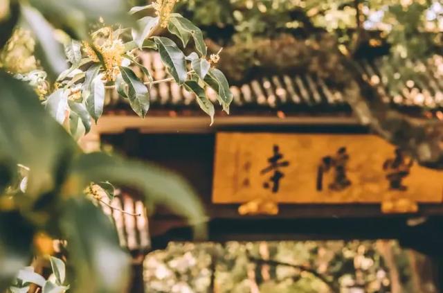 乘高铁赏秋景！从上海前往这些城市1小时内即可抵达