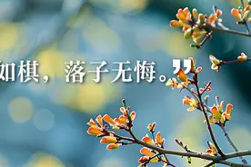 哲思 | 一个人最清醒的5种活法图片