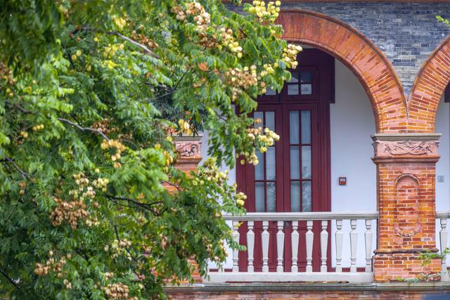 杭州初冬赏花指南，一场别样的“压轴花事”