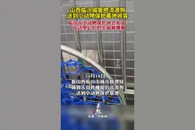 山西临汾城管把流浪狗送到小动物保护基地收容。临汾市小动物保护协会发文：在这里它们的生命被尊重。图片