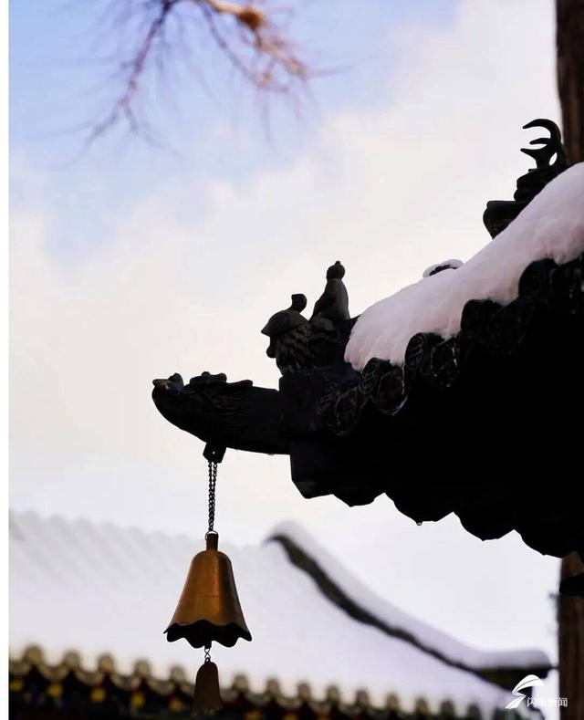 组图丨雪落泰山普照寺 古院美成冬日壁纸