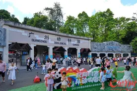 广州动物园系列项目建设方案公开征求意见！以五大任务推动建成国家动物园图片