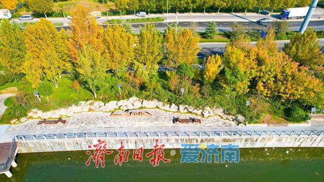 一年四季 泉在济南丨秋日晴空映碧水 河岸秋景漾诗意