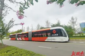 智轨为何“墙内开花墙外香”图片