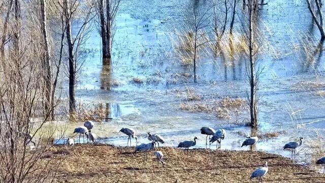 北京冬日限定“奇观”！就到月底！快冲→