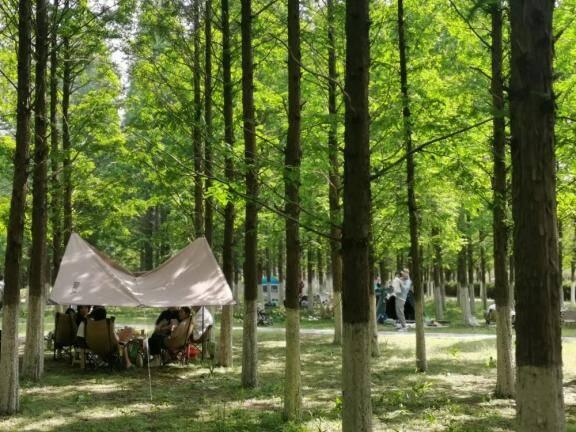 济南高新区的“诗和远方”微旅游线路推荐