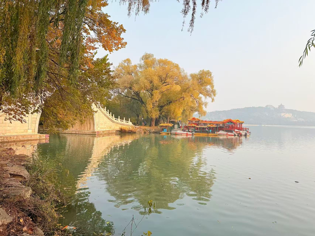 银杏浓烈似金，松柏深翠如墨！京城这景色太美了