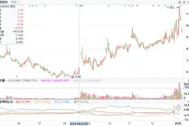 两连板涨停后又两次跌停，共进股份暴涨暴跌背后隐现“拉萨天团”身影图片