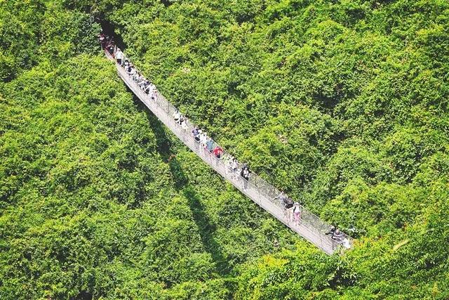火力全开！暑期海南旅游“成绩单”来了